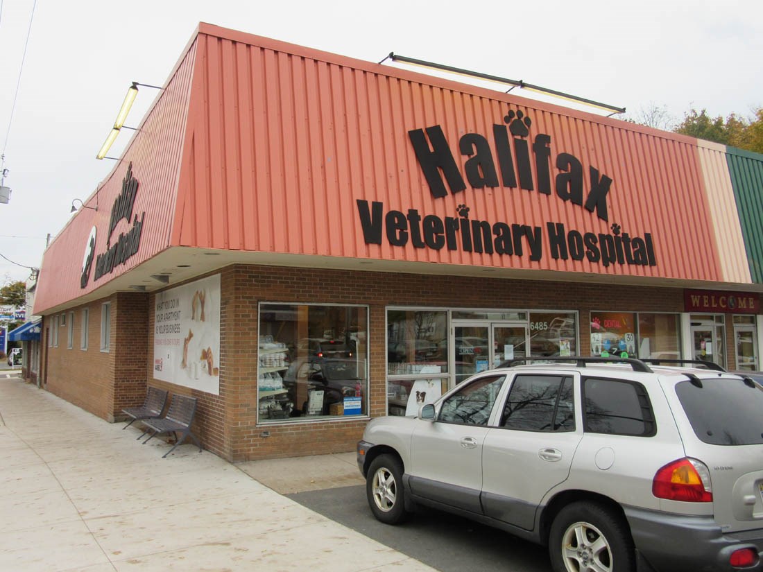 Interior FitUp of the Halifax Veterinary Hospital